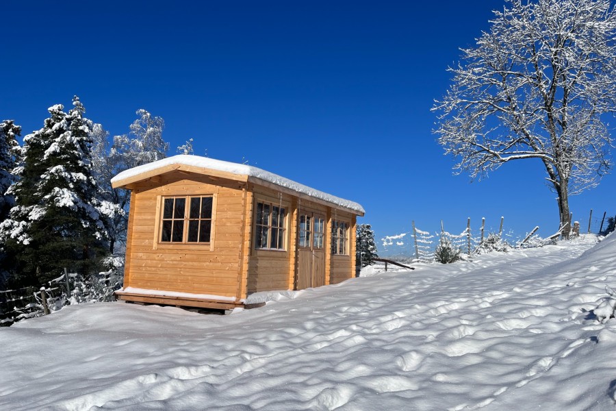 Choisir-entre-différents-modèles-de-chalet-de-jardin-isolé